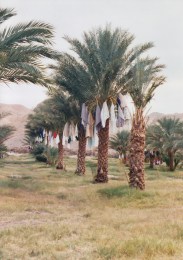 Amargosa1_0005