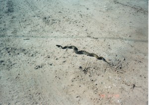 up_down_allaround_0006